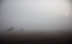 atmosfere padane...