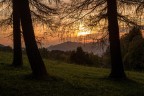 verso sera