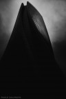 Torre Hadid, Milano

Secondo me da guardare su fondo nero
