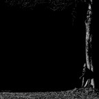 lama di luce