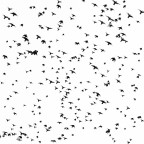 traffic in the sky