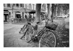 biciclette