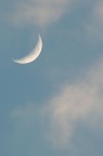 Gobba a ponente luna ...