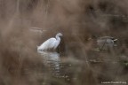 La Signora del fiume