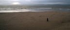 Spiaggia di Exmouth