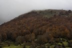 Autunno19