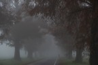 CR 29/11_03 CR 29/11_03
