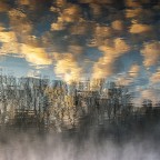 riflessi