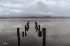 Una mattina uggiosa.. Lago Puccini.