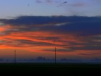 alba con pali