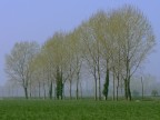 parco del ticino