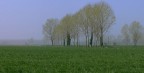 campagna milanese