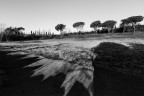 Selva_Paliano_FR_261219