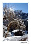 Winter Sun