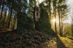 Rovine