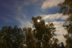 Controluce