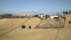 Corridonia 2.zero20