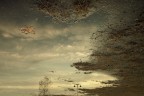 Cieli Sognati