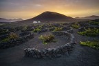 Le vigne di Lanzarote