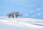 Ad un passo dal cielo