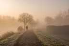 sola nella nebbia