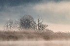 Avvolto dalla nebbia