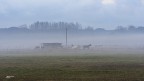 Nella nebbia..