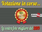 La nostra foto migliore del 2019 su photo4u.it La nostra foto migliore del 2019 su photo4u.it