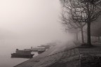 Brivio nella nebbia