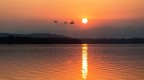 Lago di Varese (Italia)
Il vento cala e se ne va 
lo stesso vento non agita 
due volte lo stesso ramo 
di ciliegio
gli uccelli cantano nellalbero 
ali che voglion volare 
la porta  chiusa 
bisogna forzarla 
bisogna vederti, amor mio, 
sia bella come te, la vita 
sia amica e amata come te 
so che ancora non  finito 
il banchetto della miseria
 ma finir...
N.Hikmet.