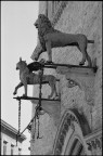 Grifo e Leone dal 1274 vegliano sulla citt, ai loro piedi le catene tolte a Siena nel 1358

Minolta XD-s, Rokkor 100mm/2.5, Ilford XP2, monopiede
scansione Epson 3170