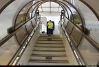 plane ladder