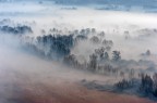 Winter Fog 2