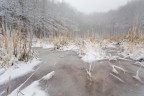 ultima neve??