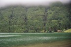 Un po di verde