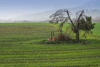 Quasi primavera