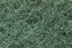 texture_macro_home_Apr2020