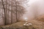 luci nella nebbia
