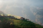 Paesello