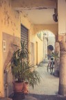 Vicoli