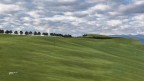 Il verde nella collina