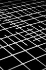 linee contest