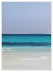 MARE