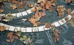 A gioco fermo