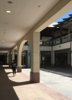 Desolazione