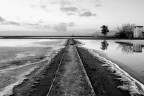 Alle saline