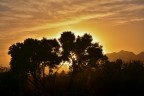 Tramonti nel deserto