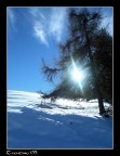 Trentino 2005