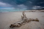 Spiagge tempestose