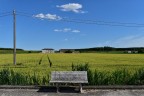 nel bel mezzo della Pianura padana